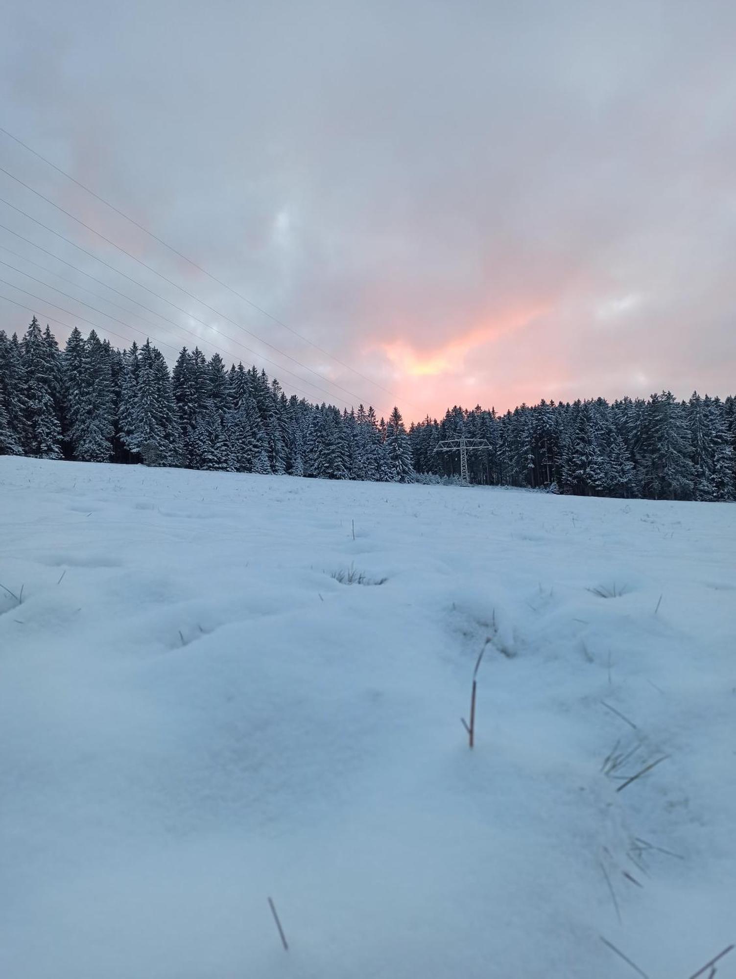Ferienwohnung Brentenholz Sankt Georgen im Schwarzwald Exterior photo